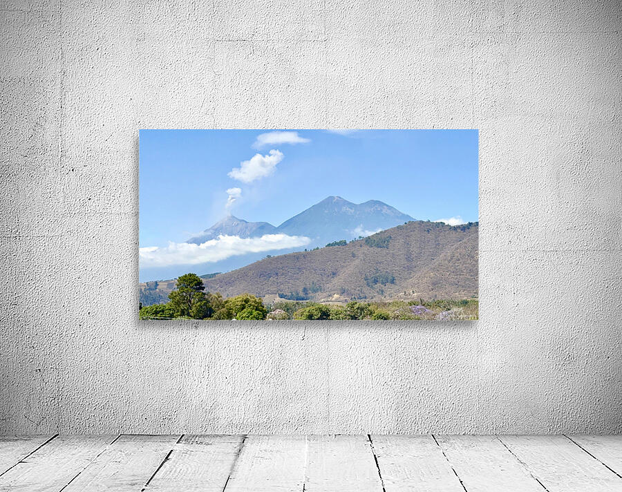 IMG 0088 Wall Preview