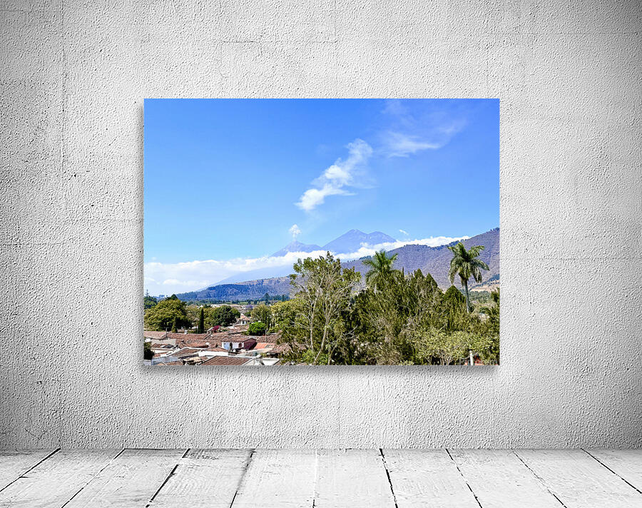 IMG 0160 Wall Preview