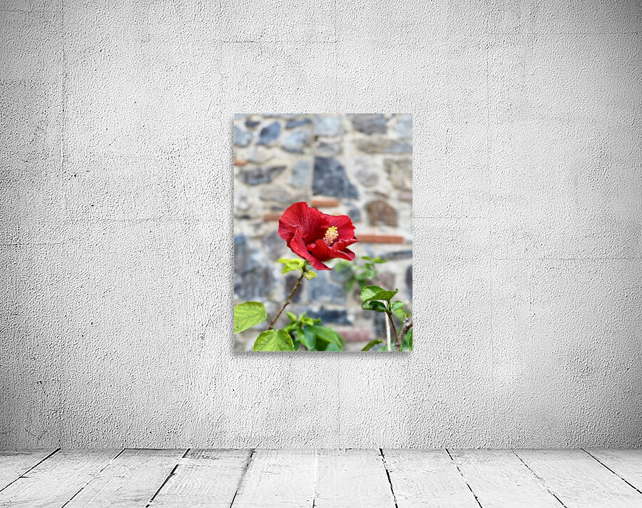 IMG 9957 Wall Preview