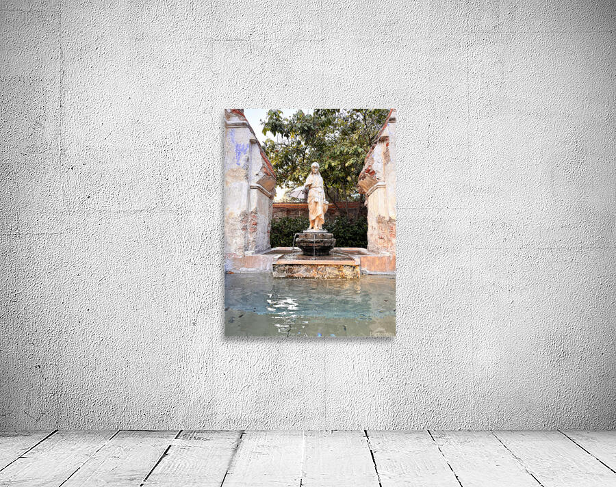 IMG 9961 Wall Preview