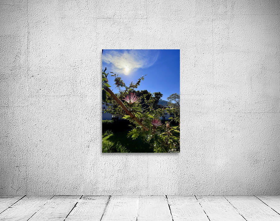 IMG 0024 Wall Preview