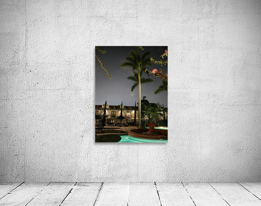 IMG 0437 Wall Preview