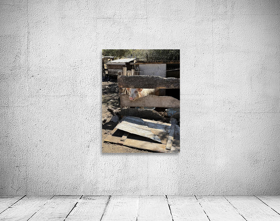 IMG 9518 Wall Preview