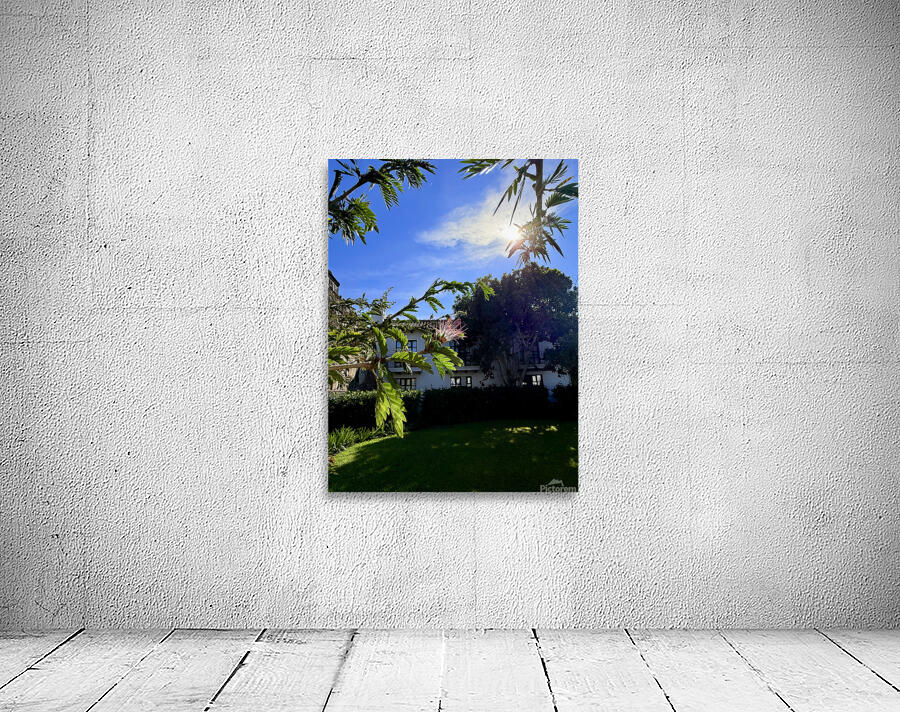 IMG 0025 Wall Preview