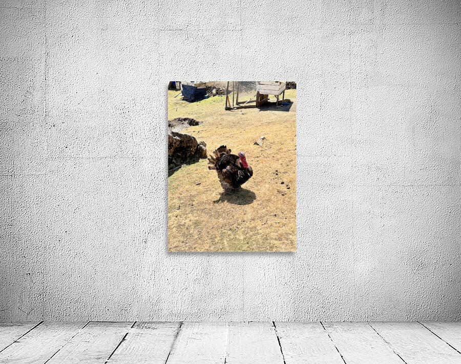 IMG 9621 Wall Preview