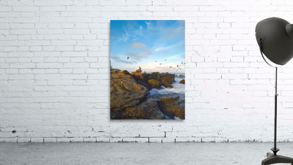 Seal Bird Watching Wall Preview