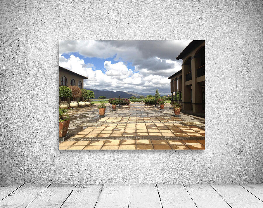 Out of Africa 1 Wall Preview