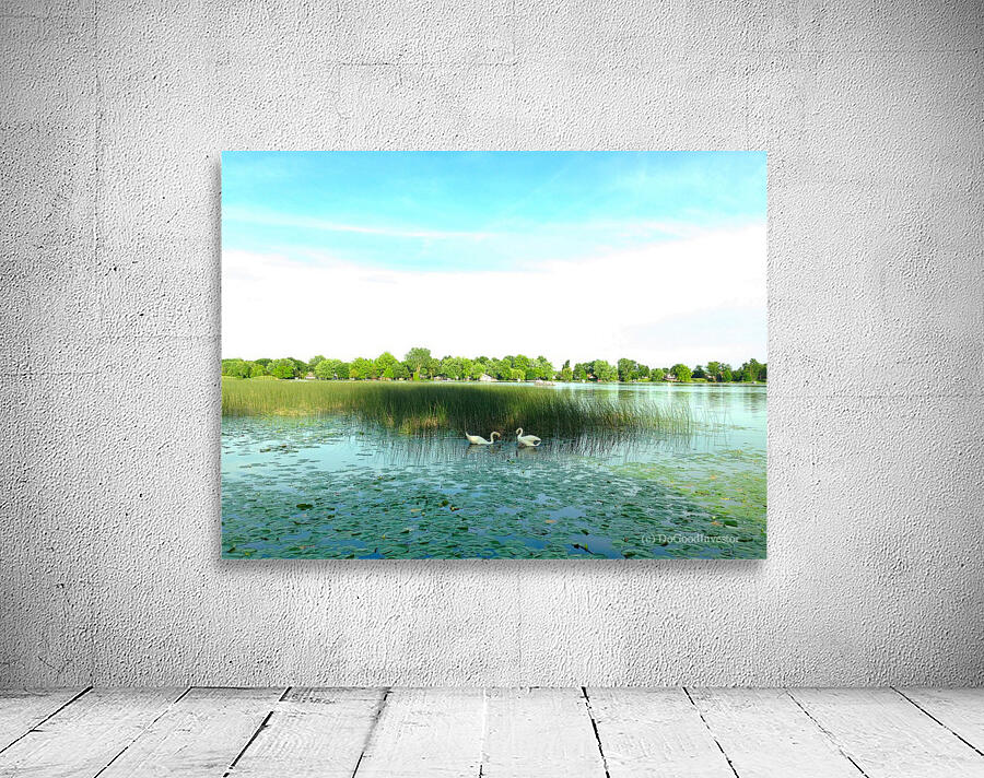 MI Swan Lake 2 Wall Preview