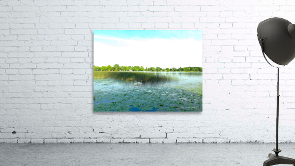 MI Swan Lake Wall Preview