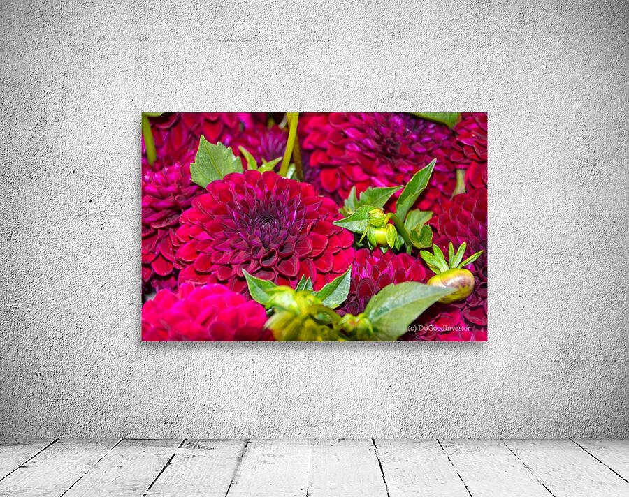 Flower Bloom 4 Wall Preview