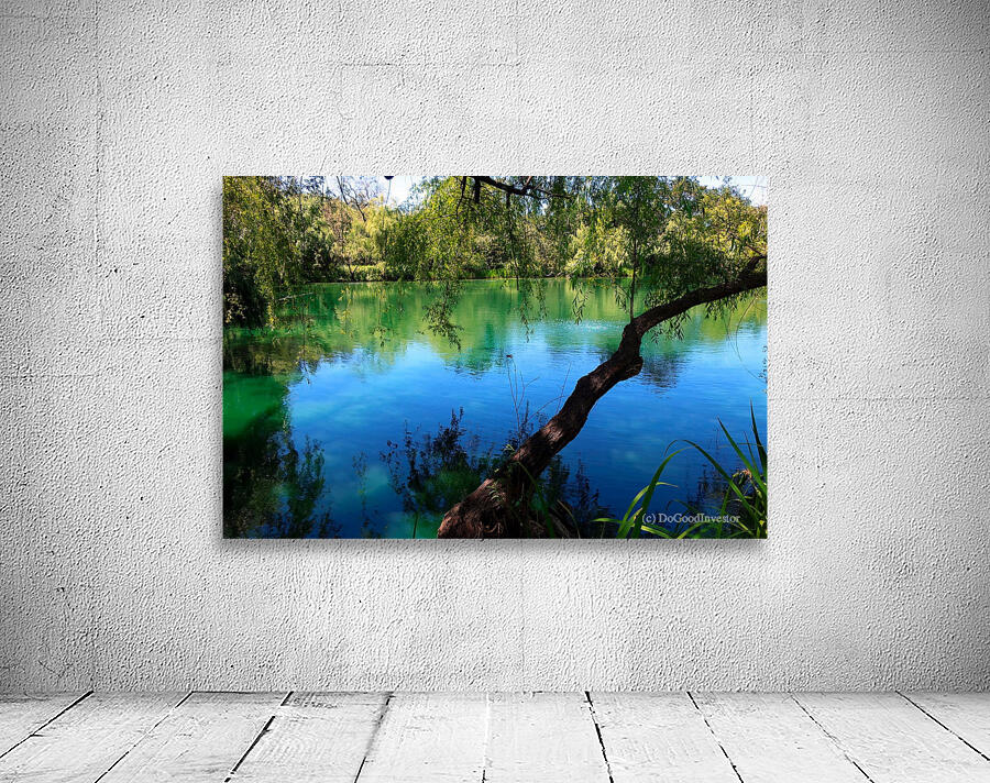 Pond Do 2 Wall Preview