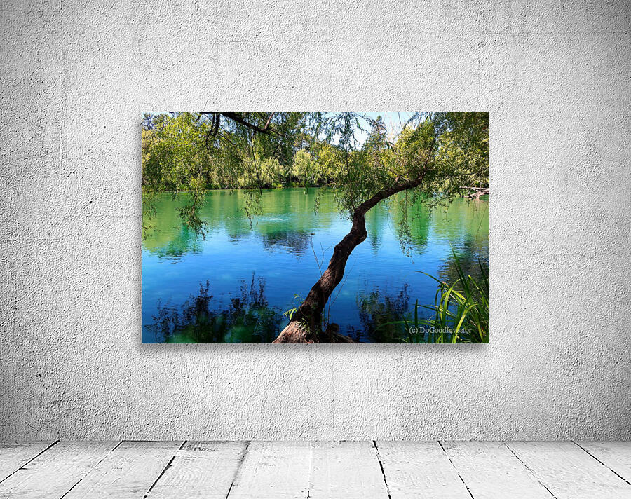 Pond Do  Wall Preview