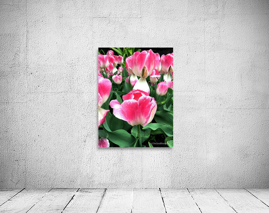 Tulips Are Better Than One Wall Preview