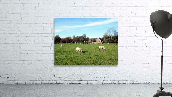 Grazing Fields of Avebury Henge and Stone Circles  Wall Preview