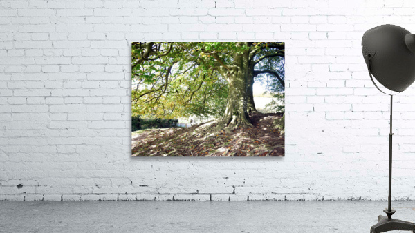 Rooted in Strength Wall Preview