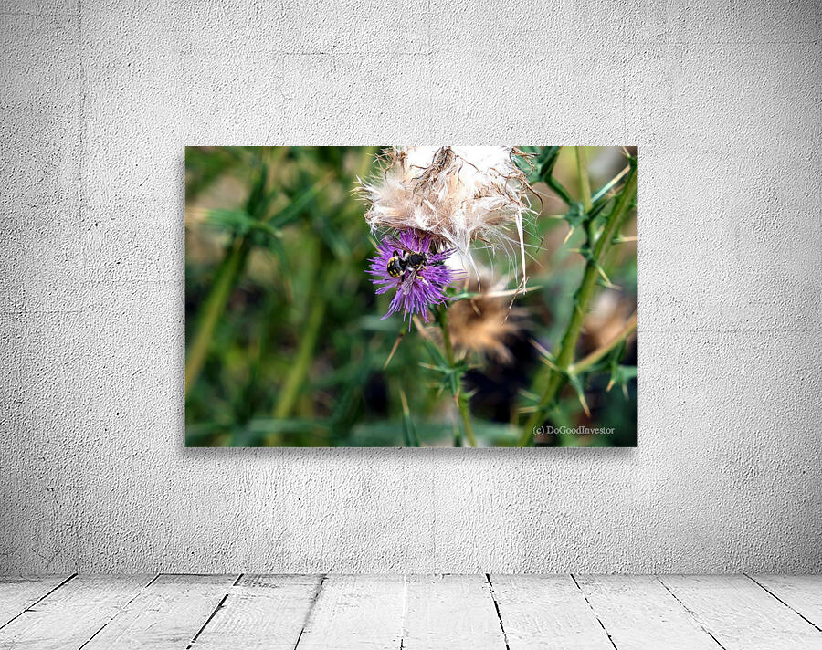 To Bee or Not to Bee  2 Wall Preview