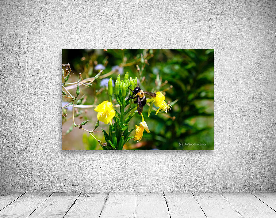 To Bee or Not to Bee  4 Wall Preview