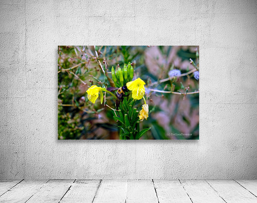 To Bee or Not to Bee  -- Checking Under The Hood Wall Preview