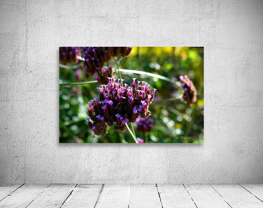 Cluster of Miniature Flowers Wall Preview