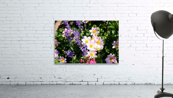 Blushing Petals 2 Wall Preview