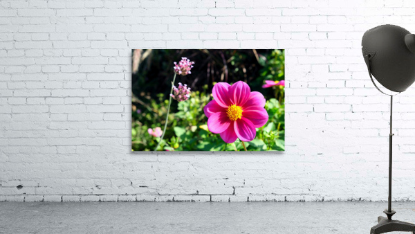 Flower Bloom 7B Wall Preview
