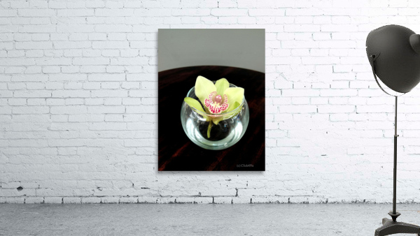 Glass Bloom Wall Preview