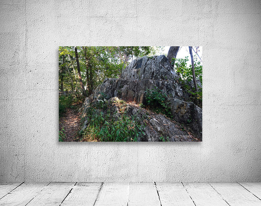 Just Rocking Life  Wall Preview