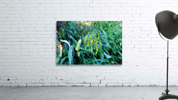 Silent Green Wind Chimes Wall Preview