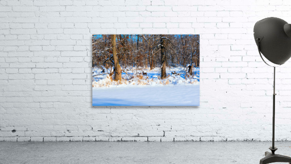 Hiding in Plain Sight Wall Preview