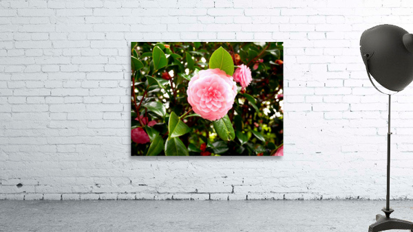 Blooms of Joy 1 Wall Preview