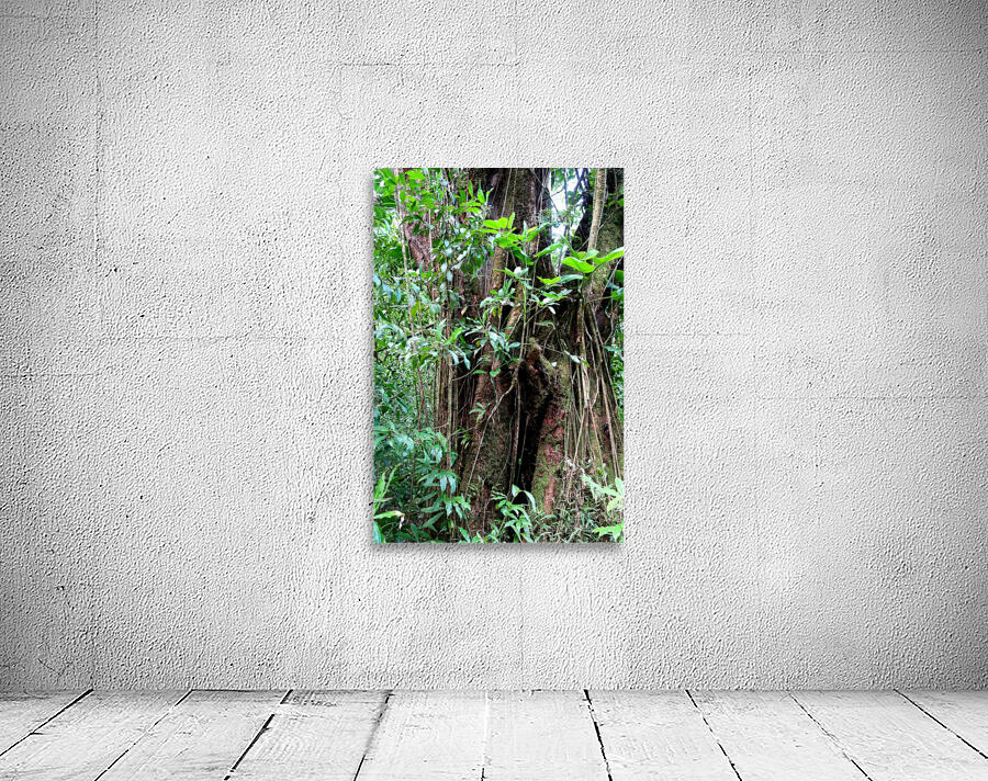 Hiking Hawaii 2 Wall Preview