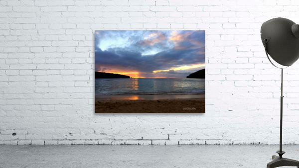 Paradise Found Wall Preview