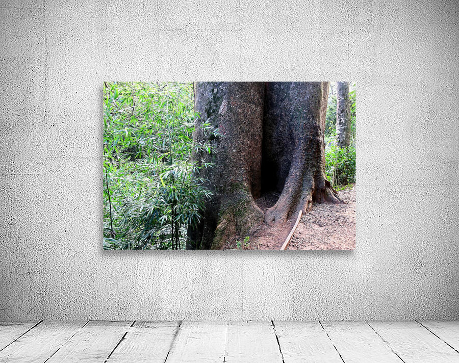 Got Stumped  Wall Preview