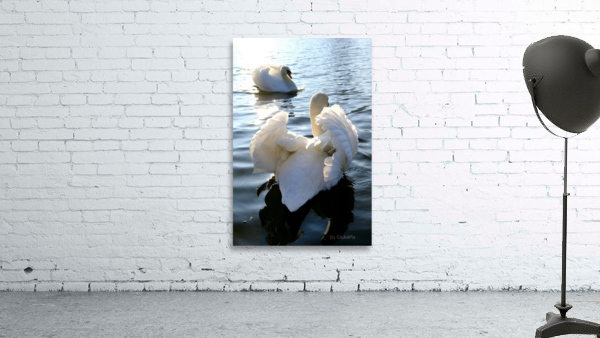 Behind Wings of Love 1A Wall Preview