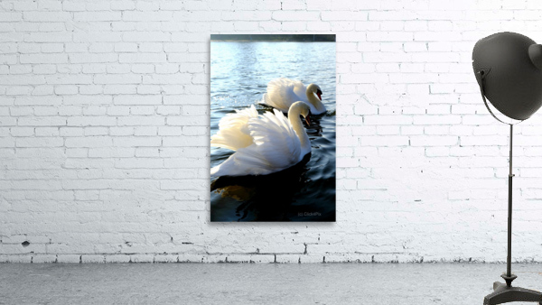 Wings of Love Pair 1A Wall Preview