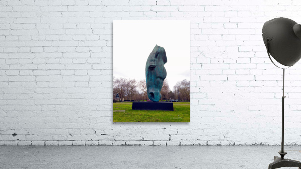 Horsehead Sculpture 2 Wall Preview