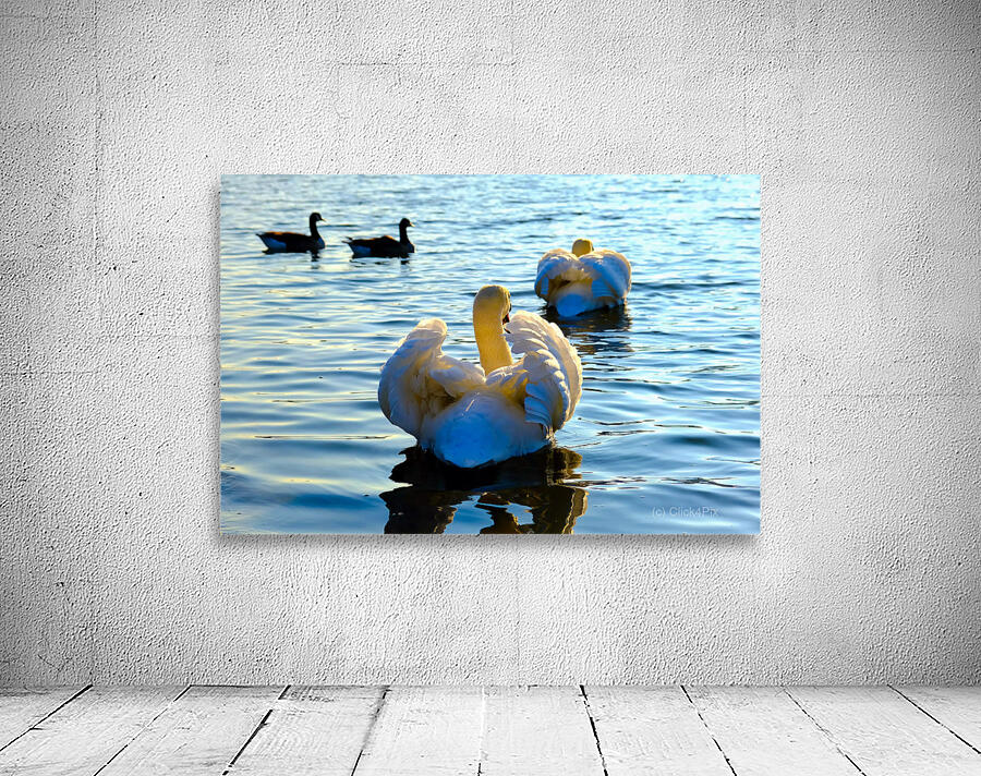 Behind Wings of Love Wall Preview