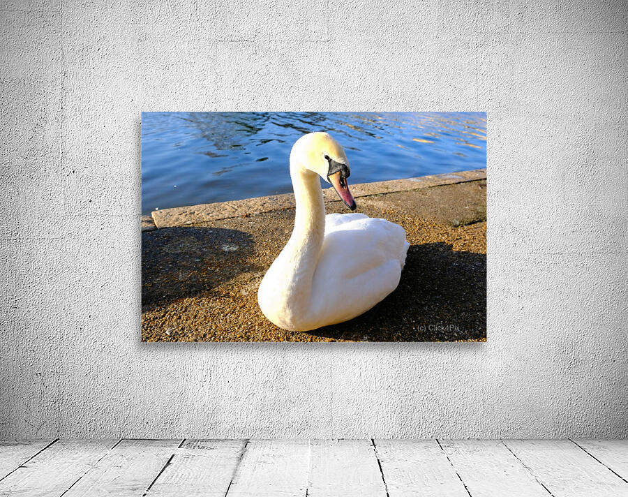 Lake’s Guardian Wall Preview