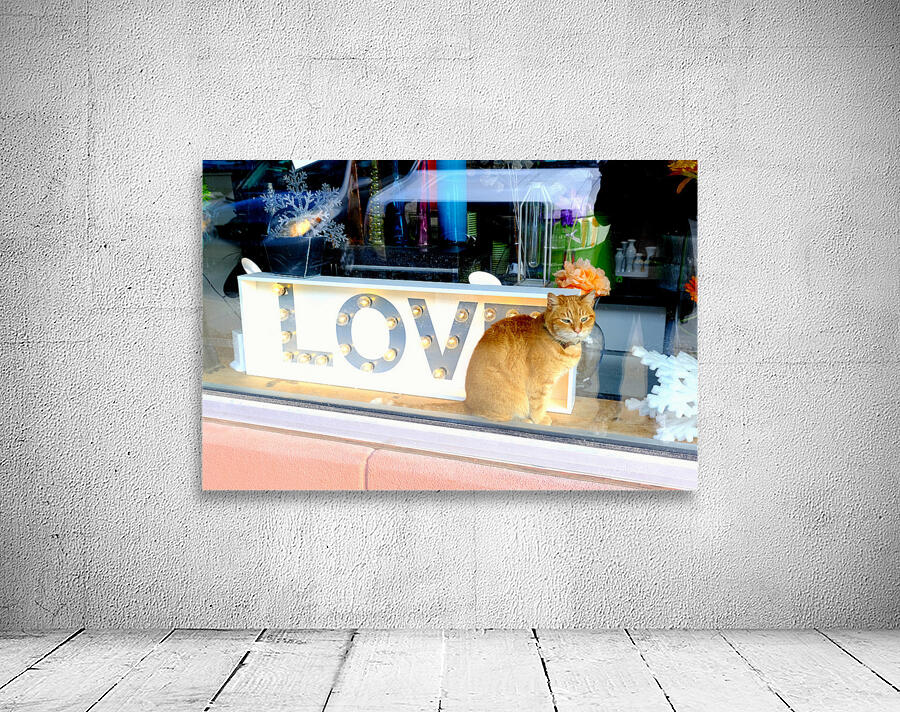 Window Watcher Wall Preview