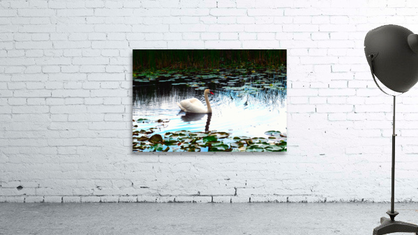 Silent Glide Wall Preview