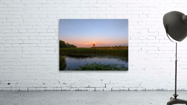 Solace in the Sky Wall Preview