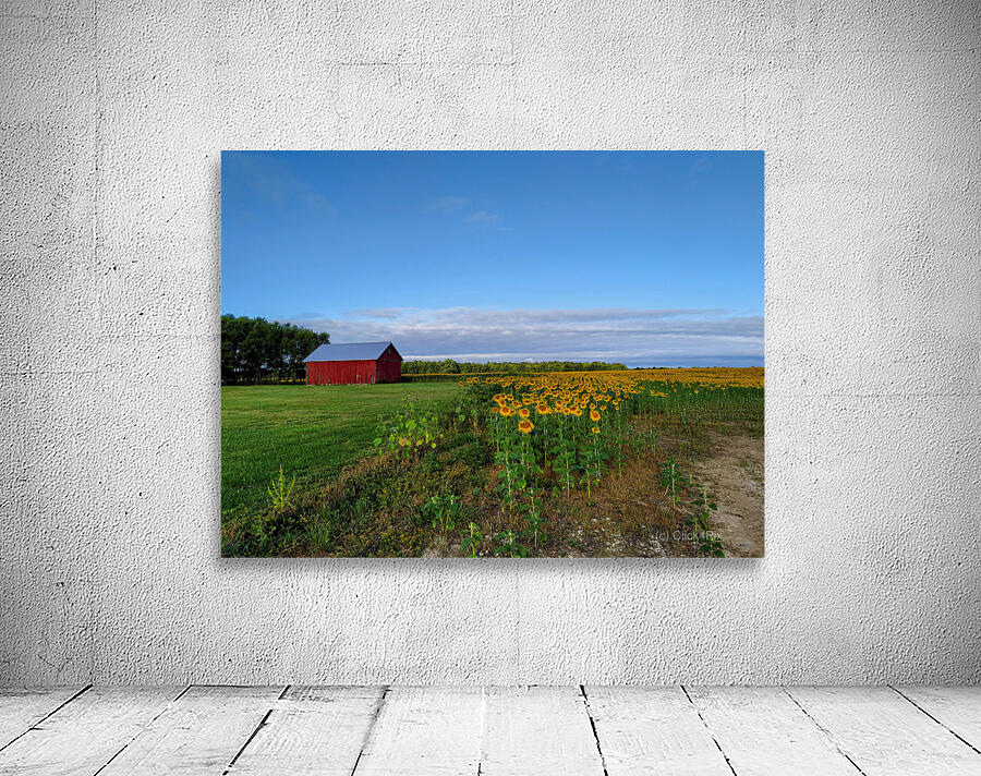 Barn & Blossoms Wall Preview