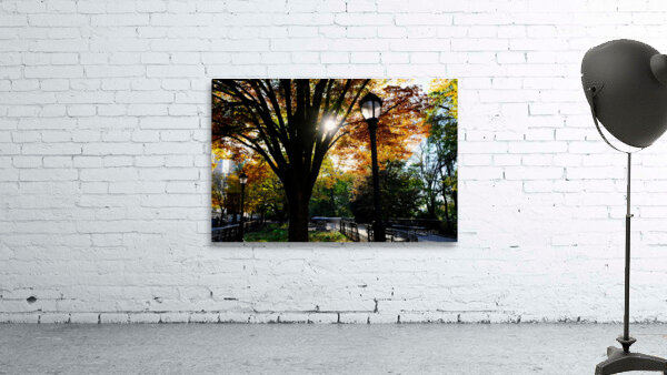 Shades of Autumn Wall Preview