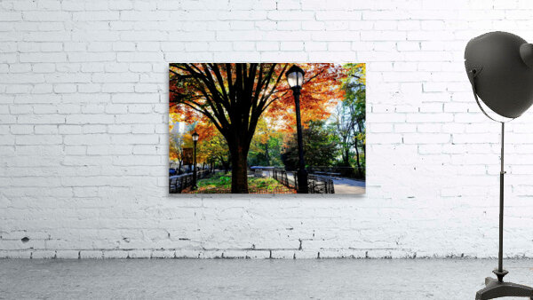 Autumn Radiance Wall Preview