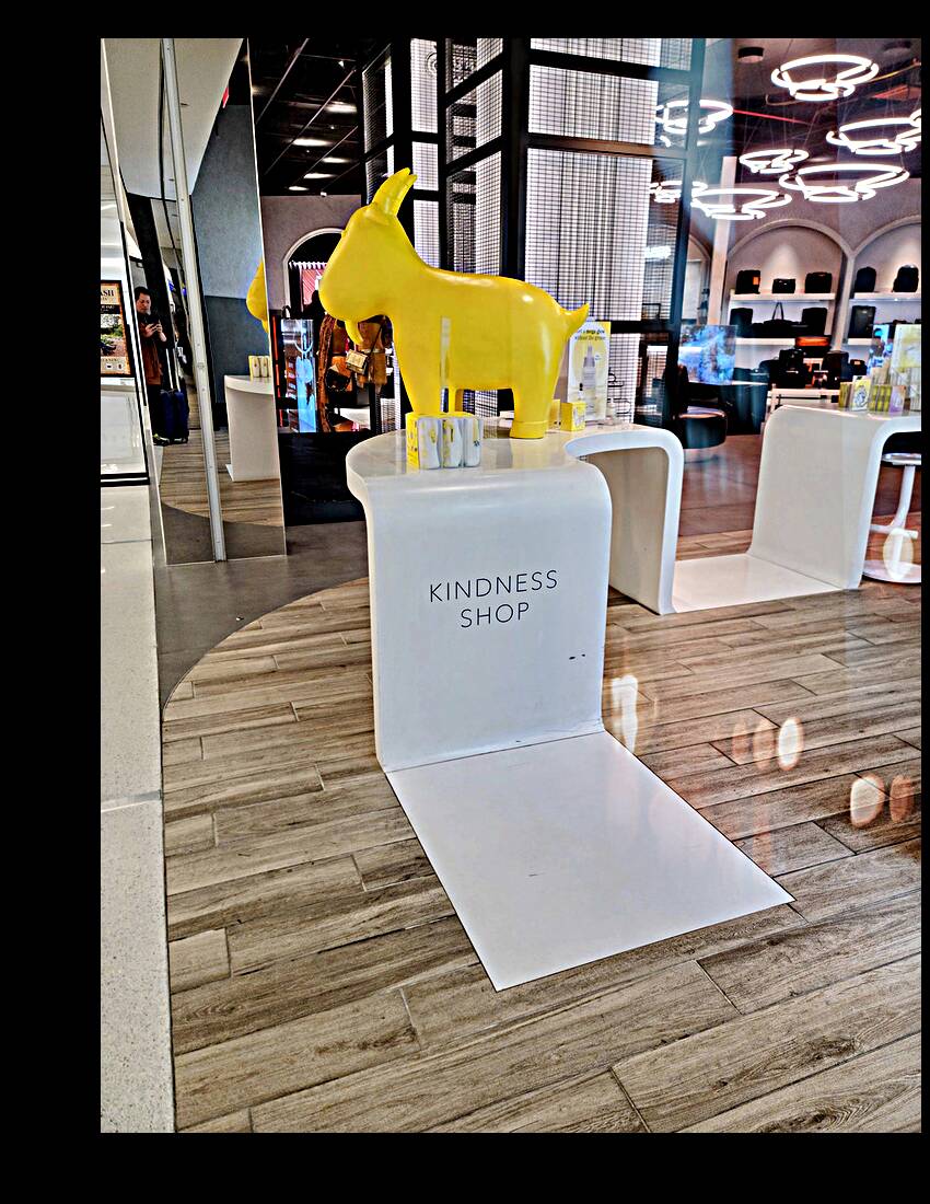 Shop for Kindness Reproduction