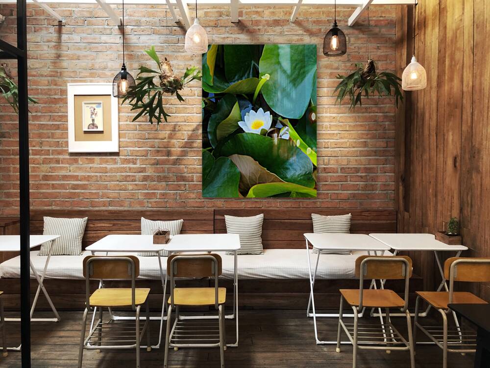 The Quiet Reveal: Beauty Beneath Reproduction