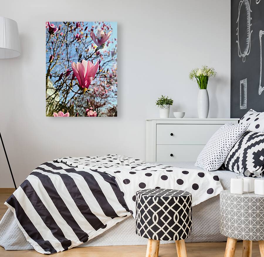 Spring Sun Worshipping Magnolia Reproduction