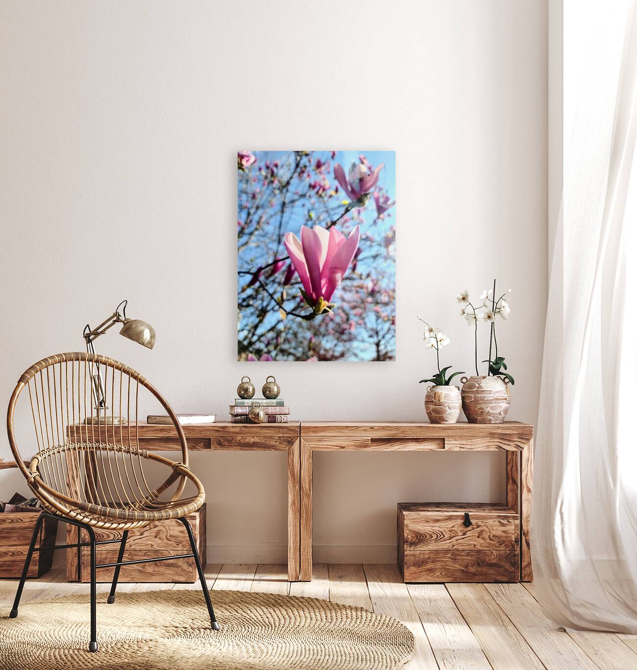 A Magnolias First Embrace of Light Reproduction