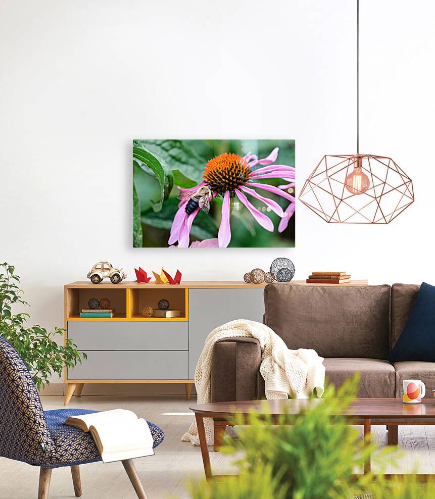 Stillness Amid the Spires of Echinacea Reproduction