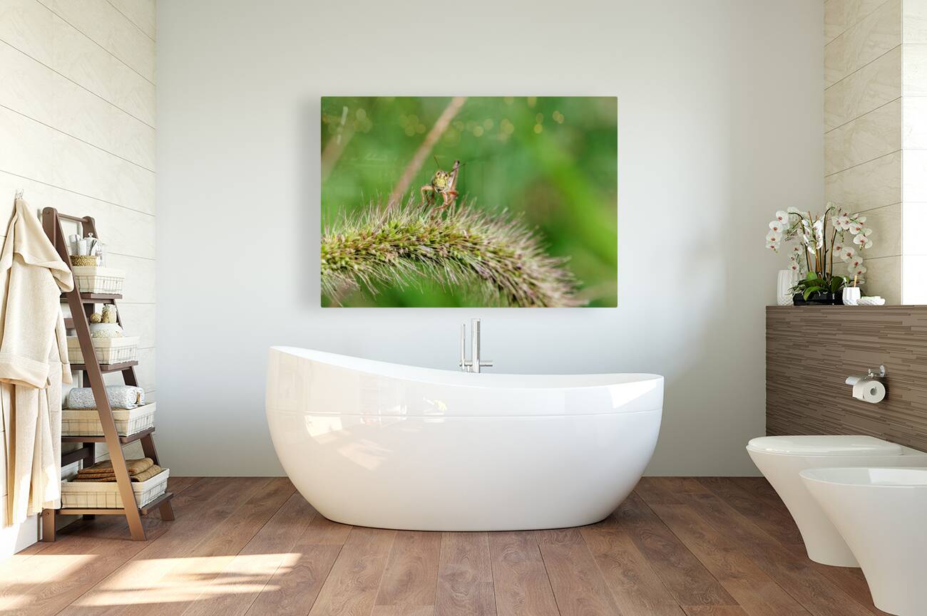 Smiling Happy Hopper on the Wild Silk Spine Reproduction